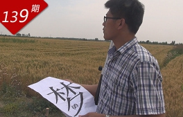 麥田畫(huà)師