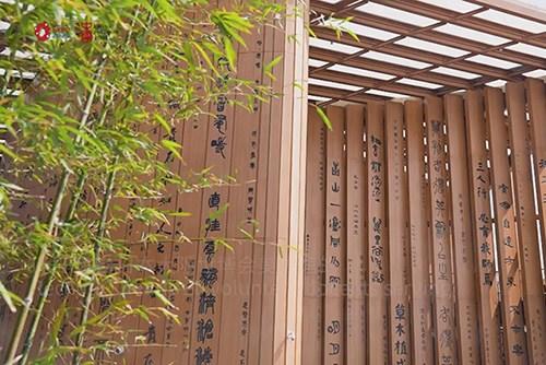 大阪世博會——兩國青年開啟一場跨文化對話之旅